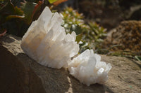 Natural Clear Quartz Clusters x 3 From Ambatofinandrahana, Madagascar - Toprock Gemstones and Minerals 