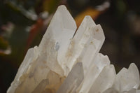 Natural Clear Quartz Clusters x 3 From Ambatofinandrahana, Madagascar - Toprock Gemstones and Minerals 