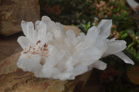 Natural Clear Quartz Clusters x 3 From Ambatofinandrahana, Madagascar - Toprock Gemstones and Minerals 