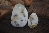 Polished Dendritic Opal Standing Free Forms x 2 From Madagascar - Toprock Gemstones and Minerals 