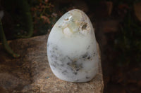 Polished Dendritic Opal Standing Free Forms x 2 From Madagascar - Toprock Gemstones and Minerals 