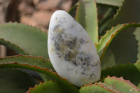 Polished Dendritic Opal Standing Free Forms x 2 From Madagascar - Toprock Gemstones and Minerals 