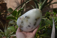 Polished Dendritic Opal Standing Free Forms x 2 From Madagascar - Toprock Gemstones and Minerals 