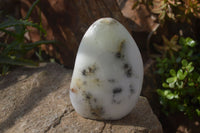 Polished Dendritic Opal Standing Free Forms x 2 From Madagascar - Toprock Gemstones and Minerals 