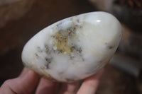 Polished Dendritic Opal Standing Free Forms x 2 From Madagascar - Toprock Gemstones and Minerals 