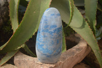 Polished Blue Spinel Spotted Quartz Standing Free Forms x 2 From Madagascar - Toprock Gemstones and Minerals 