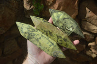 Polished Double Terminated Leopard Stone Crystals x 4 From Zimbabwe - Toprock Gemstones and Minerals 