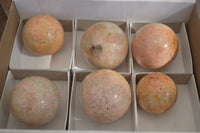 Polished Feldspar In Quartz Spheres x 6 From Zimbabwe - Toprock Gemstones and Minerals 