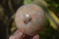 Polished Feldspar In Quartz Spheres x 6 From Zimbabwe - Toprock Gemstones and Minerals 