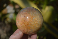 Polished Feldspar In Quartz Spheres x 6 From Zimbabwe - Toprock Gemstones and Minerals 