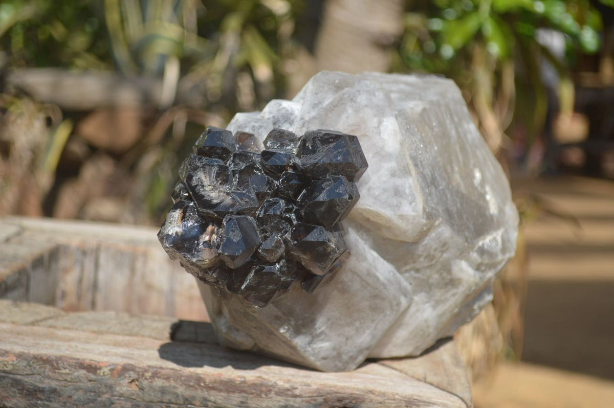 Natural Smokey Window Quartz Crystal Specimen x 1 From Brandberg, Namibia - Toprock Gemstones and Minerals 