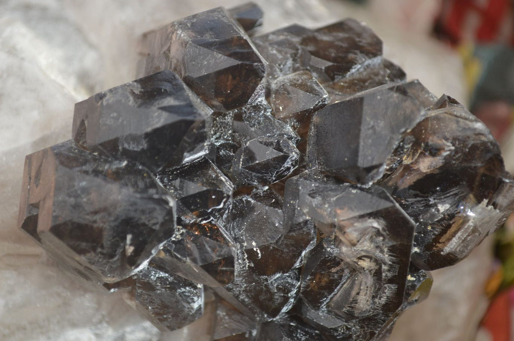 Natural Smokey Window Quartz Crystal Specimen x 1 From Brandberg, Namibia - Toprock Gemstones and Minerals 