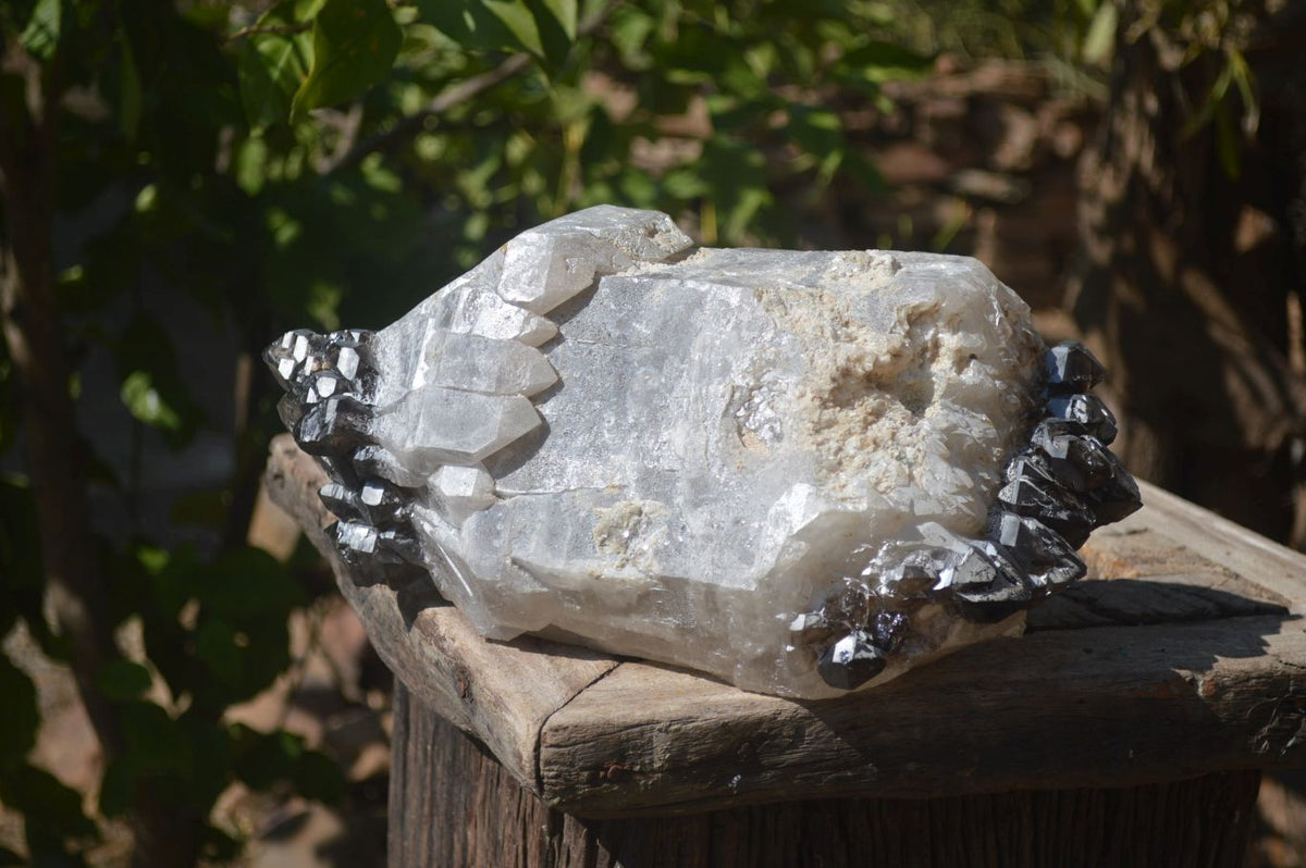 Natural Smokey Window Quartz Crystal Specimen x 1 From Brandberg, Namibia - Toprock Gemstones and Minerals 