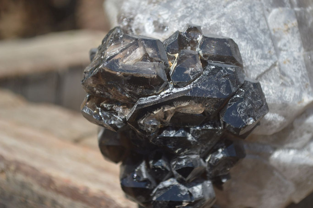 Natural Smokey Window Quartz Crystal Specimen x 1 From Brandberg, Namibia - Toprock Gemstones and Minerals 