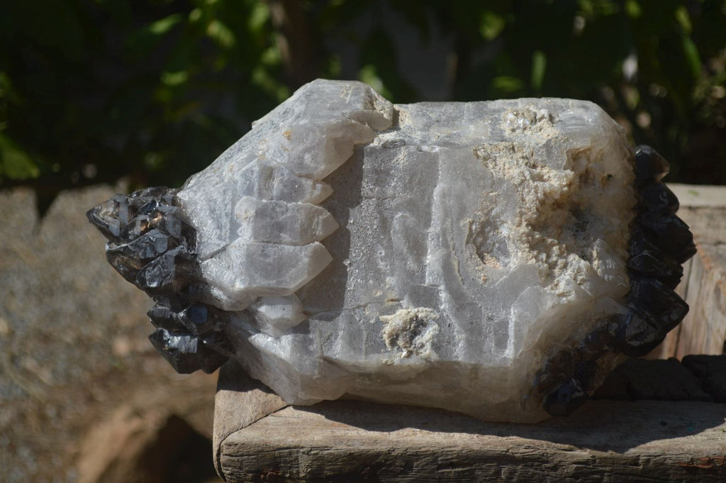 Natural Smokey Window Quartz Crystal Specimen x 1 From Brandberg, Namibia - Toprock Gemstones and Minerals 