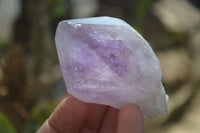 Polished Jacaranda Amethyst Single Crystals x 12 From Mumbwa - Toprock Gemstones and Minerals 