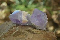 Polished Jacaranda Amethyst Single Crystals x 12 From Mumbwa - Toprock Gemstones and Minerals 
