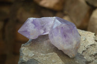 Polished Jacaranda Amethyst Single Crystals x 12 From Mumbwa - Toprock Gemstones and Minerals 