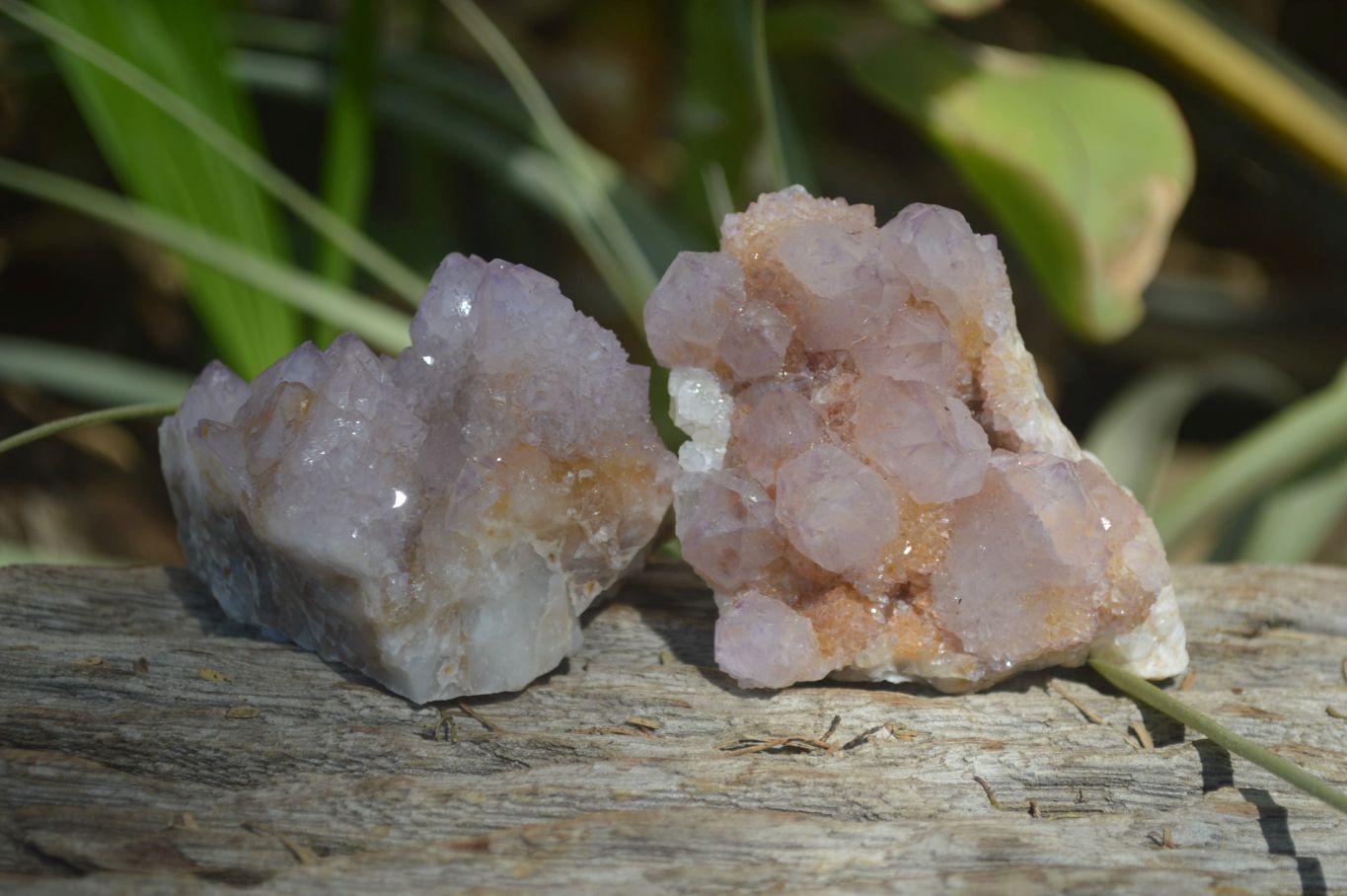 Natural Amethyst / Ametrine Spirit Quartz Clusters x 12 From South Africa - Toprock Gemstones and Minerals 