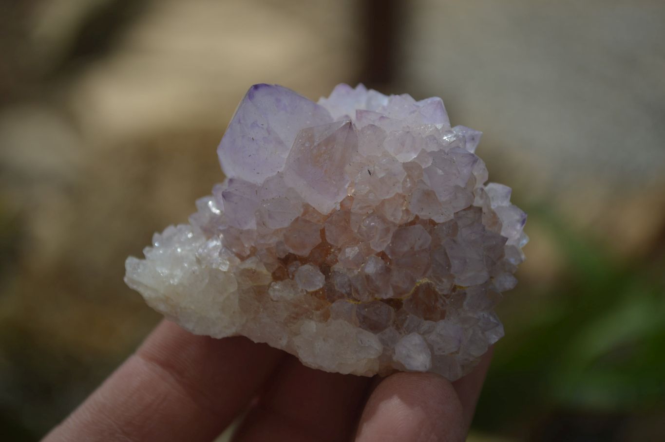 Natural Amethyst / Ametrine Spirit Quartz Clusters x 12 From South Africa - Toprock Gemstones and Minerals 