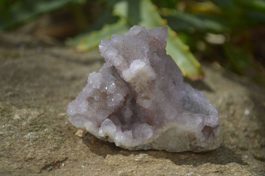 Natural Amethyst / Ametrine Spirit Quartz Clusters x 12 From South Africa - Toprock Gemstones and Minerals 