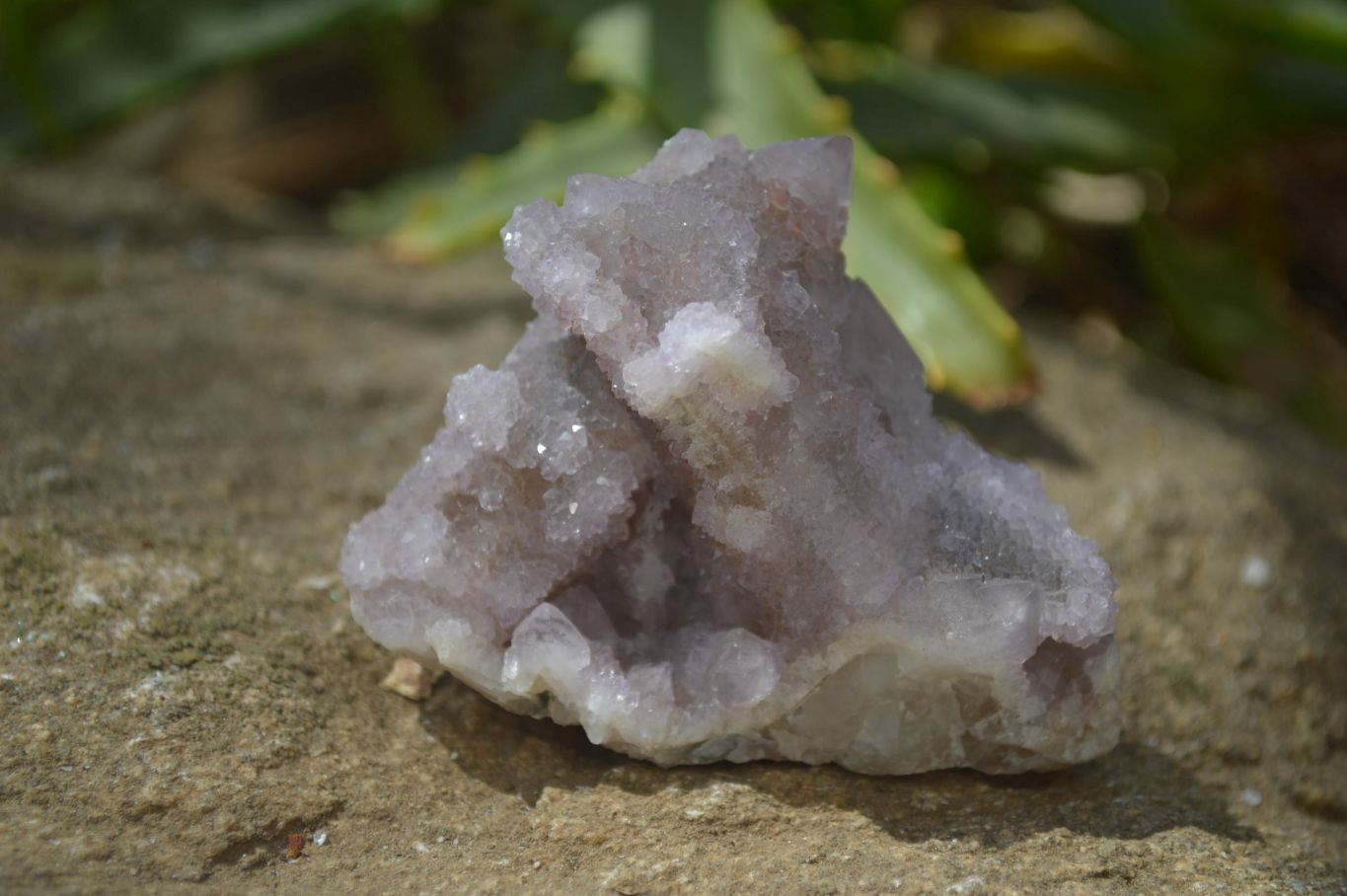 Natural Amethyst / Ametrine Spirit Quartz Clusters x 12 From South Africa - Toprock Gemstones and Minerals 