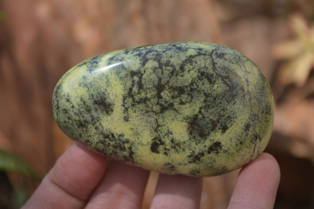 Leopard Spot Rocks Polished Leopard Stone Free Forms x 6 From Nyanga, Zimbabwe – Toprock ...