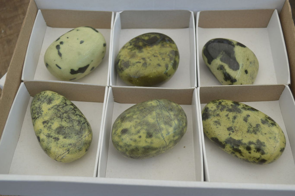 Polished Leopard Stone Free Forms x 6 From Nyanga, Zimbabwe - Toprock Gemstones and Minerals 