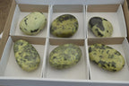 Polished Leopard Stone Free Forms x 6 From Nyanga, Zimbabwe - Toprock Gemstones and Minerals 