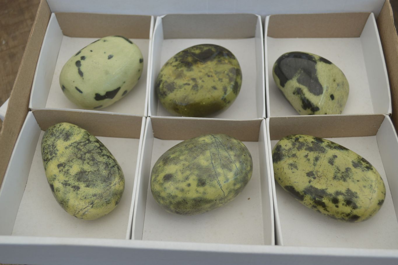 Polished Leopard Stone Free Forms x 6 From Nyanga, Zimbabwe - Toprock Gemstones and Minerals 