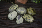 Polished Leopard Stone Free Forms x 6 From Nyanga, Zimbabwe - Toprock Gemstones and Minerals 