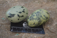 Polished Leopard Stone Free Forms x 6 From Nyanga, Zimbabwe - Toprock Gemstones and Minerals 