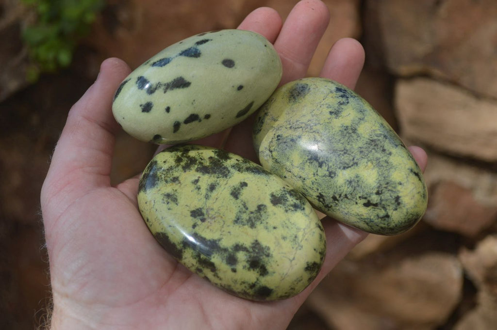Polished Leopard Stone Free Forms x 6 From Nyanga, Zimbabwe - Toprock Gemstones and Minerals 