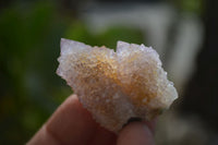 Natural Ametrine Spirit Quartz Single Crystals x 35 From Boekenhouthoek, South Africa
