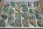 Natural Jade Cobbed Specimens x 24 From Swaziland - Toprock Gemstones and Minerals 