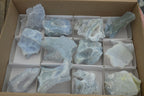 Natural Etched Blue Chalcedony Specimens x 12 From Nsanje, Malawi - Toprock Gemstones and Minerals 