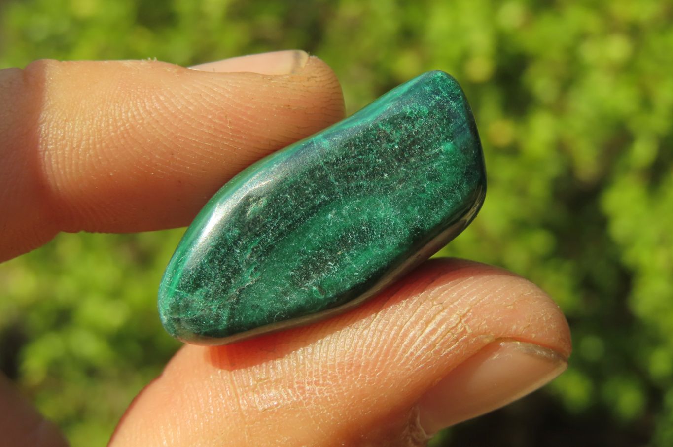 Polished Flower Banded Malachite Free Forms x 35 From Congo - Toprock Gemstones and Minerals 