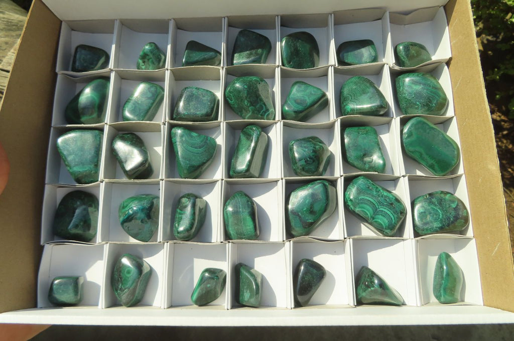 Polished Flower Banded Malachite Free Forms x 35 From Congo - Toprock Gemstones and Minerals 