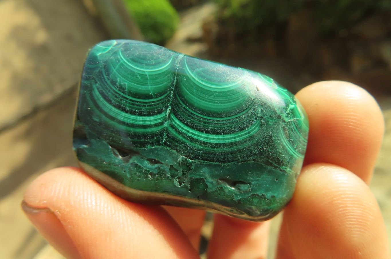 Polished Flower Banded Malachite Free Forms x 35 From Congo - Toprock Gemstones and Minerals 