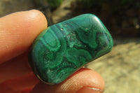 Polished Flower Banded Malachite Free Forms x 35 From Congo - Toprock Gemstones and Minerals 