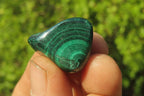 Polished Flower Banded Malachite Free Forms x 35 From Congo - Toprock Gemstones and Minerals 