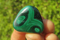 Polished Flower Banded Malachite Free Forms x 35 From Congo - Toprock Gemstones and Minerals 