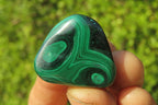 Polished Flower Banded Malachite Free Forms x 35 From Congo - Toprock Gemstones and Minerals 