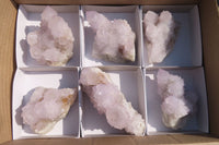 Natural Cactus Flower Spirit Quartz Clusters x 6 From Boekenhouthoek, South Africa