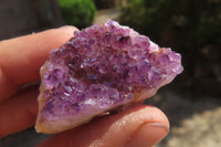 Natural Amethystos Amethyst Specimens x 35 From Kwaggafontein, South Africa - Toprock Gemstones and Minerals 