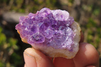 Natural Amethystos Amethyst Specimens x 35 From Kwaggafontein, South Africa - Toprock Gemstones and Minerals 