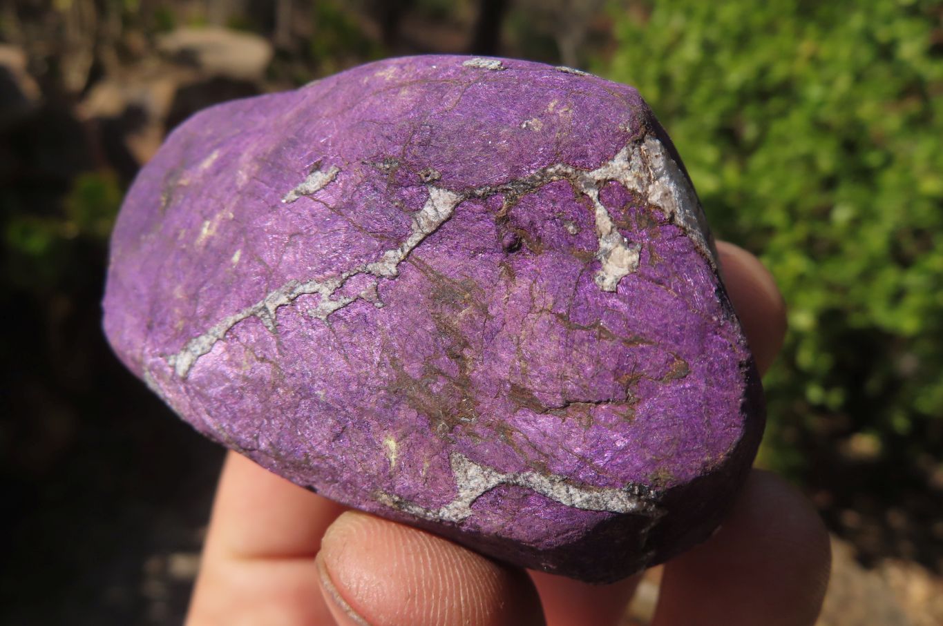 Natural Metallic Purpurite Cobbed Specimens x 6 From Erongo, Namibia - Toprock Gemstones and Minerals 