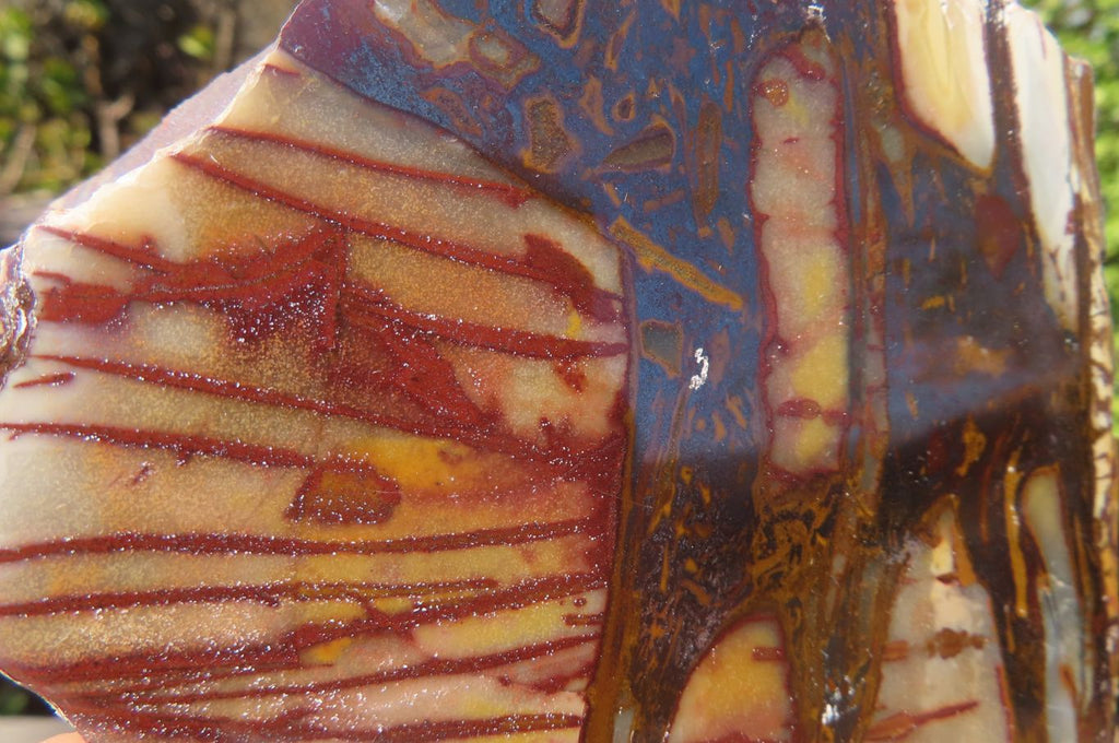 Polished On One Side Nguni Jasper Specimens x 2 From Prieska, South Africa - Toprock Gemstones and Minerals 