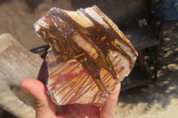 Polished On One Side Nguni Jasper Specimens x 2 From Prieska, South Africa - Toprock Gemstones and Minerals 