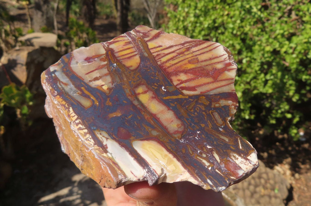 Polished On One Side Nguni Jasper Specimens x 2 From Prieska, South Africa - Toprock Gemstones and Minerals 